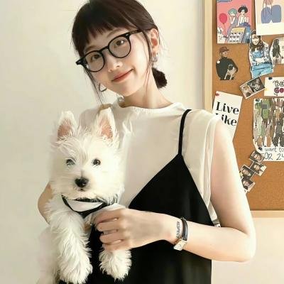 阿尔法爸爸